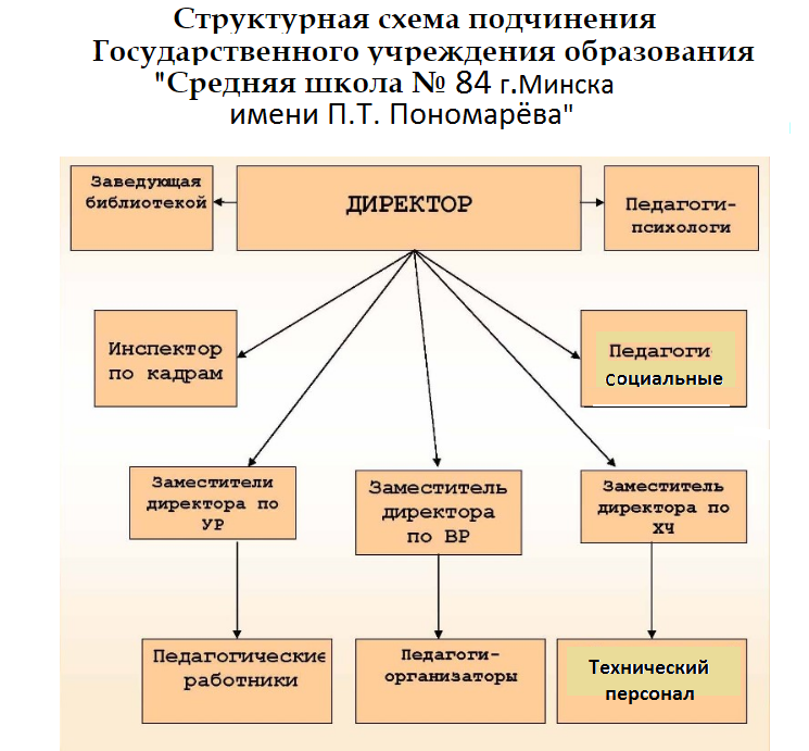 Структура подчинения